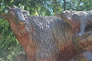 39 - Grouse Mountain - IMG_1551